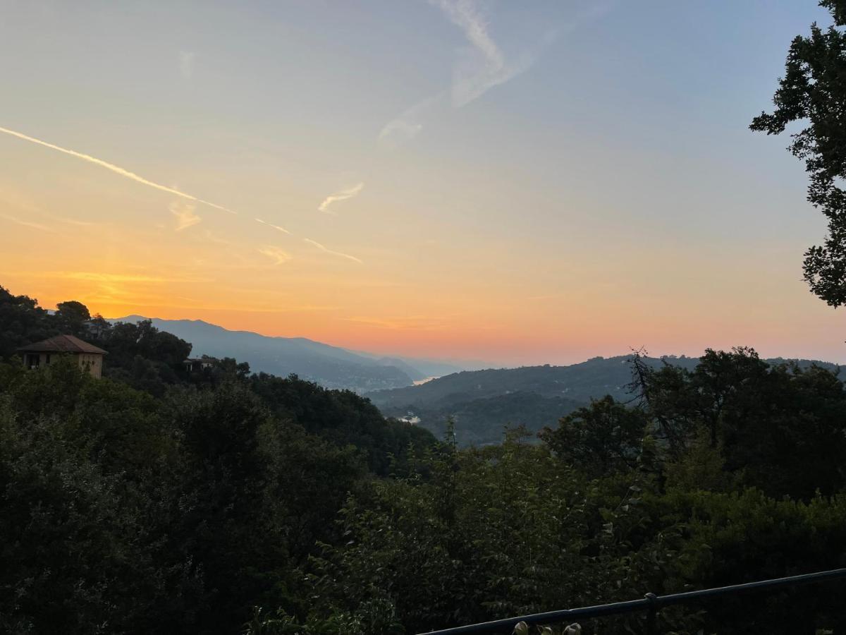 La Riviera Bed & Breakfast Bed and Breakfast Rapallo Exteriör bild