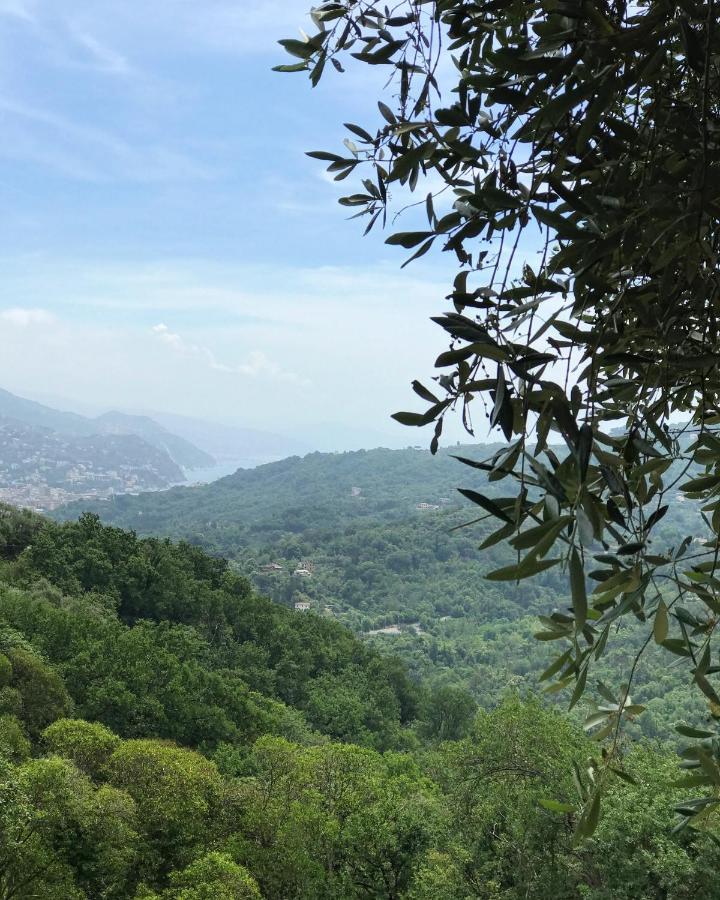 La Riviera Bed & Breakfast Bed and Breakfast Rapallo Exteriör bild