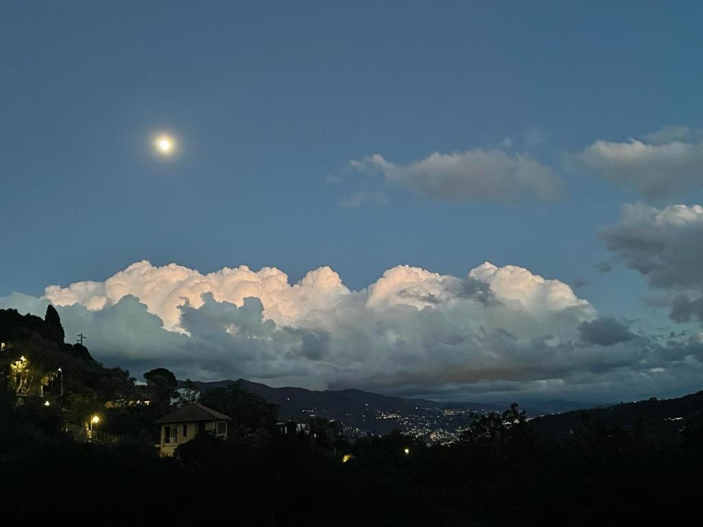 La Riviera Bed & Breakfast Bed and Breakfast Rapallo Exteriör bild