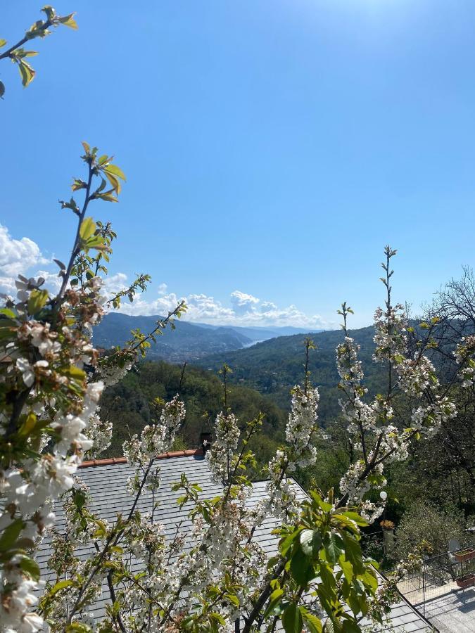 La Riviera Bed & Breakfast Bed and Breakfast Rapallo Exteriör bild